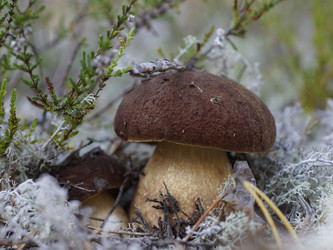 Similar image 22626135