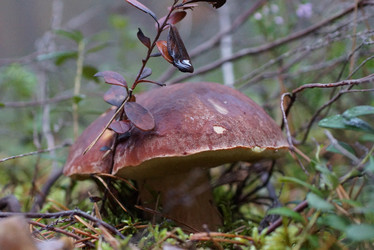 Similar image 22626136