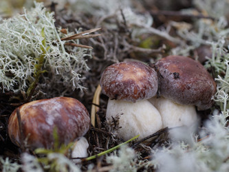 Similar image 22626137