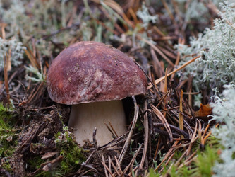 Similar image 22626852