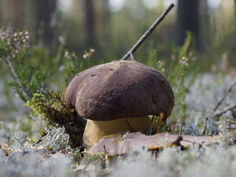 Similar image 22626853