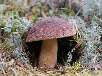 Similar image 22626854