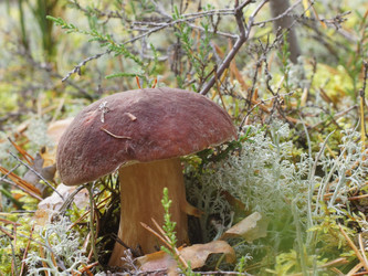 Similar image 22626855