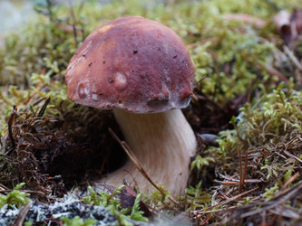 Similar image 22626856