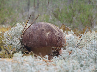 Similar image 22626857