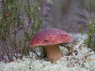 Similar image 22626858