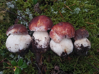 Similar image 22626859