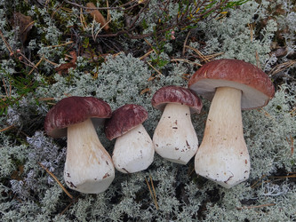 Similar image 22626860