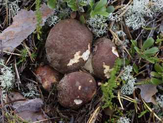 Similar image 22626861