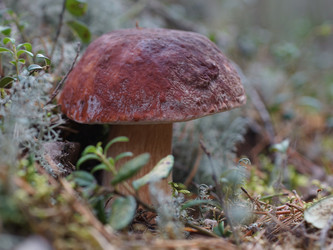 Similar image 22626863