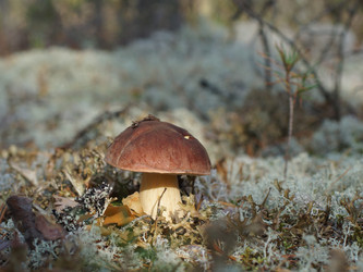 Similar image 22626864