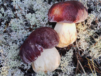 Similar image 22626865