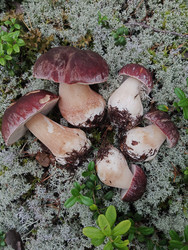 Similar image 22626866