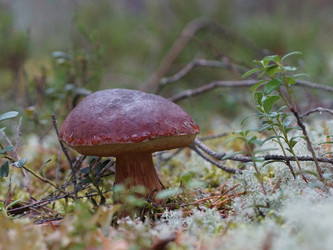 Similar image 22626867