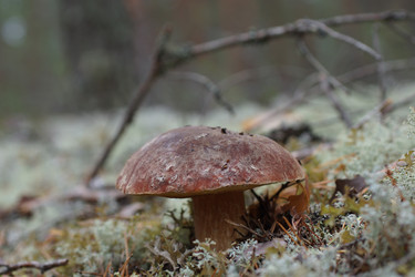 Similar image 22626868