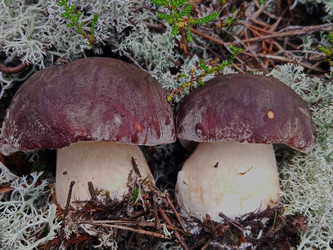 Similar image 22626869