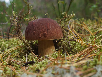 Similar image 22626870