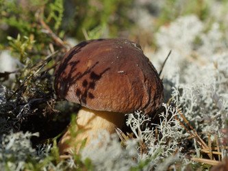 Similar image 22626871