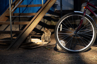 Similar image 22626792