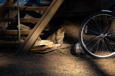 Similar image 22626795