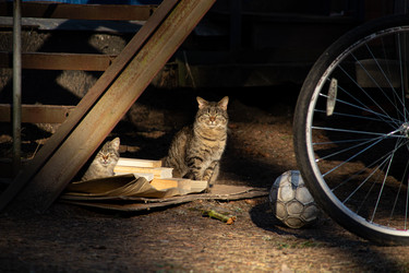 Similar image 22626797