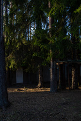 Similar image 22626799