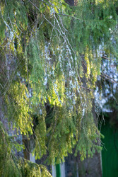 Similar image 22626800