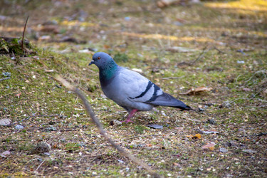 Similar image 22626802