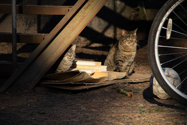 Similar image 22626803