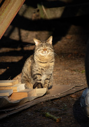 Similar image 22626804