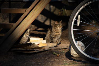 Similar image 22626807