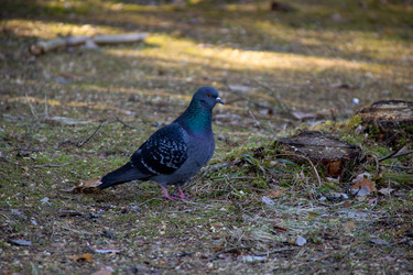 Similar image 22626808