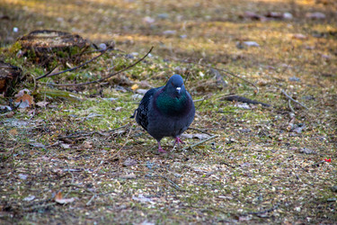 Similar image 22626809