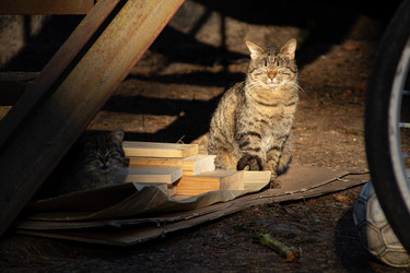 Similar image 22626810