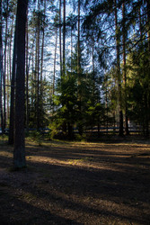 Similar image 22626812