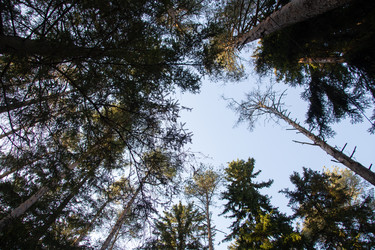 Similar image 22626827