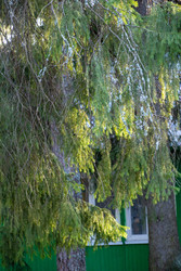 Similar image 22626828