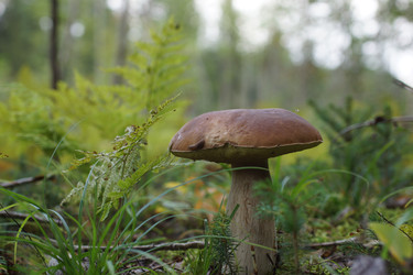 Similar image 22626872