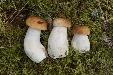 Similar image 22626873