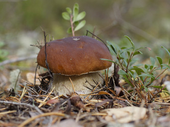 Similar image 22626874