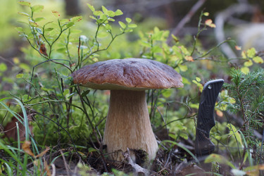 Similar image 22626875