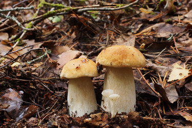 Similar image 22626876