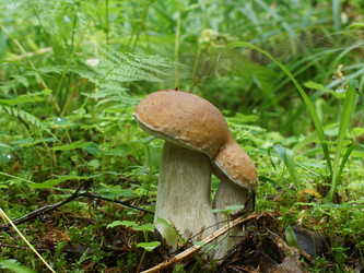 Similar image 22626877