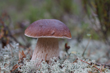 Similar image 22626878