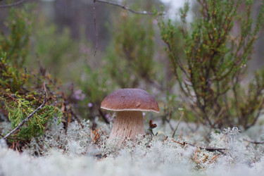 Similar image 22626879