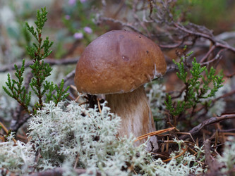 Similar image 22626880