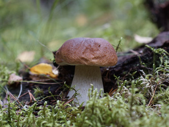 Similar image 22626881