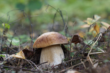 Similar image 22626883