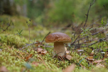 Similar image 22626884