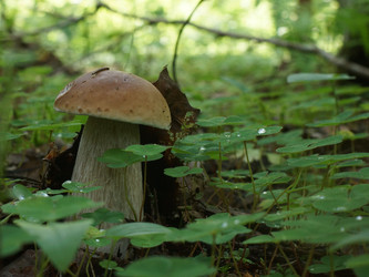 Similar image 22626885